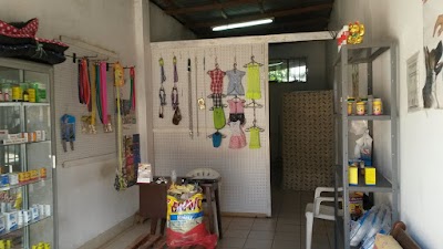 veterinary-care