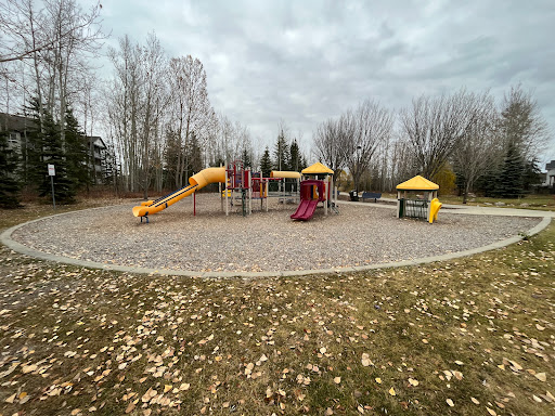 Wild Adventurez Playground - Thumbnail