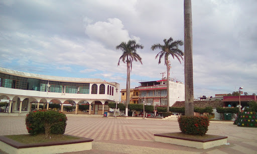 Parque Central Gral. Marcos Carrillo Herrera Gallery - Mexico