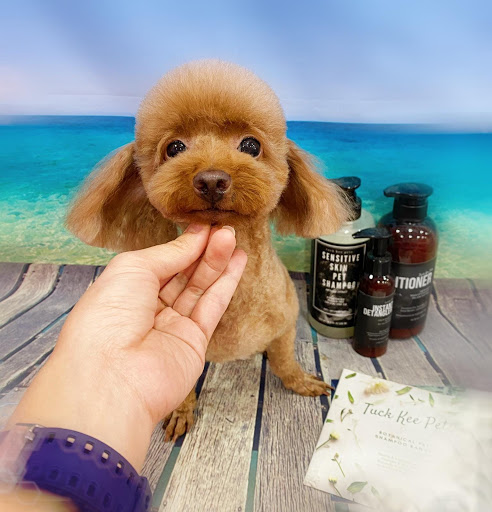 Bukit Barkdog Grooming - Thumbnail