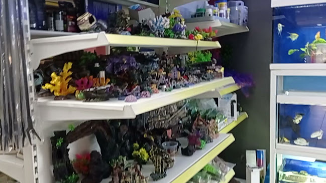 Αξιολογήσεις για το PET MARKET ΓΟΥΛΙΩΝΗΣ, pet shop Λάρισα στην Λάρισα - Εκπαιδευτής σκύλου