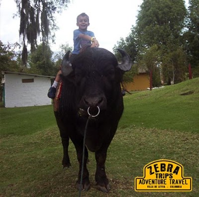 Photos of Tours en Villa de Leyva. Zebras Trips
