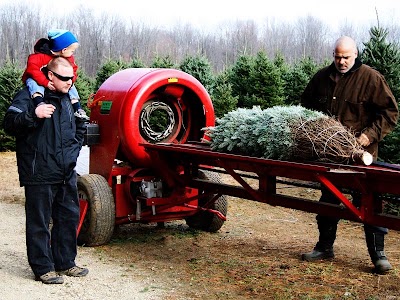 Photos of Sloan's Christmas Tree Village and U-Cut