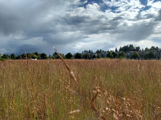 Kettle View Park Gallery - United States