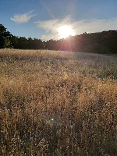 Earlswood Park - Thumbnail