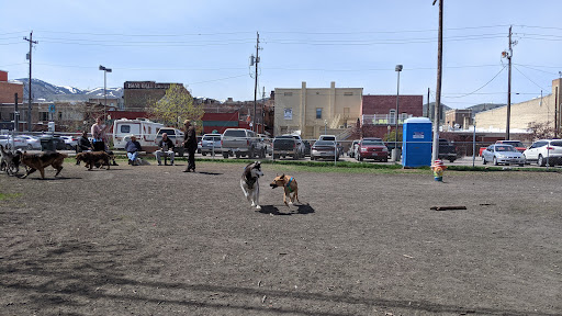 Old Town Bark Park - Thumbnail