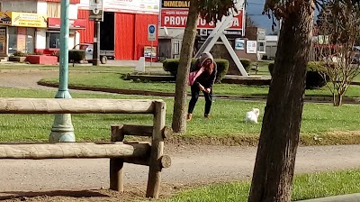 Photos of Alberto Larraguibel Morales Park