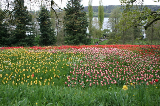Mainau Erlebniswald GmbH Gallery - Germany