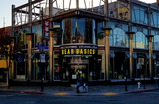 Bear Basics - Visual
