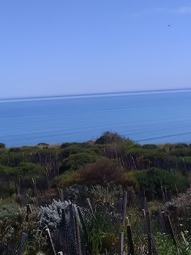 Sellicks Beach House - Thumbnail