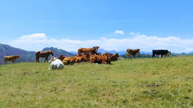 Parc national du Mercantour