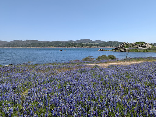 Folsom Lake State Recreation Area Gallery - United States