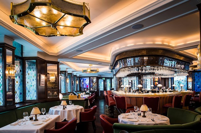 The Ivy