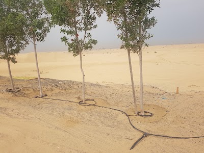 Photos of Al Qudra Desert