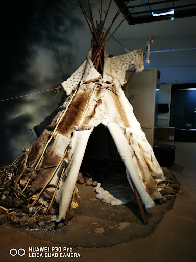 Museum für Naturkunde und Vorgeschichte Dessau - Thumbnail