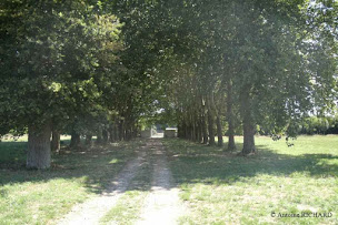 Photo n°8 de Manoir de Chandoiseau à Les Trois-Moutiers (Chambre d'hôtes)