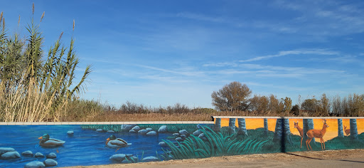 Lagata - Visual