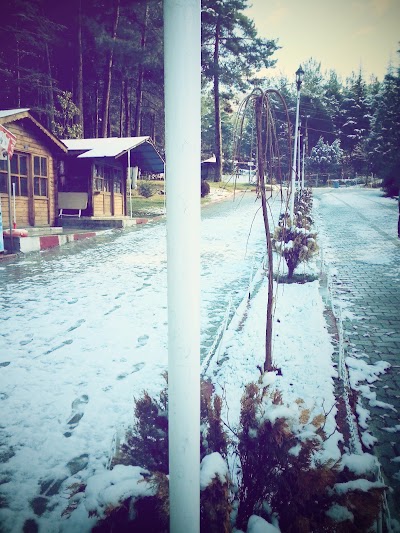Photos of Ayvaz Park