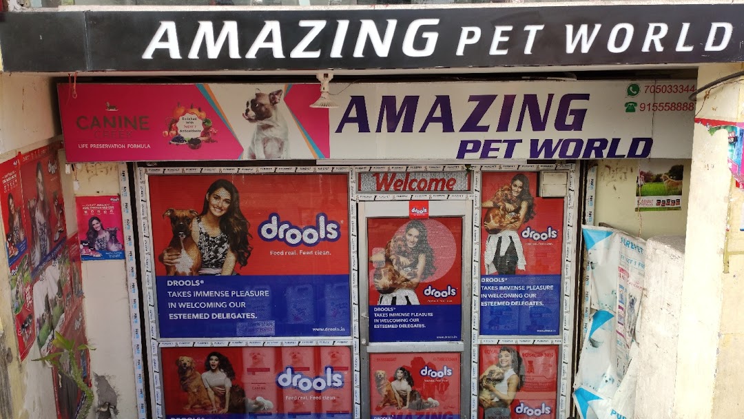 O que um Pet Shop perto de mim deve ter? - Fórmula Pet Shop
