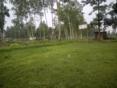 Photos of Ghurka Beltola Bazar