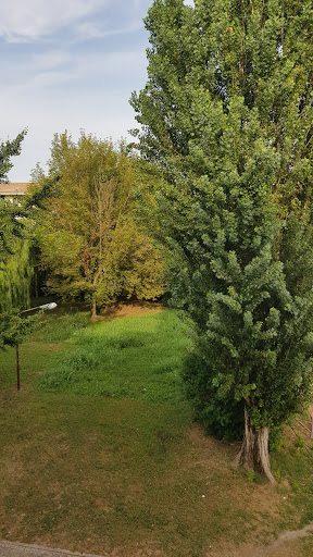 Giardino Camel - Thumbnail