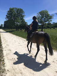 Photo n°5 de Haras de Montmarcé à Le Merlerault (Entraîneur de chevaux)