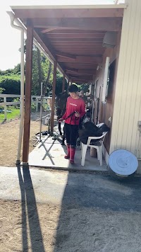 琴石サラブレッドパーク