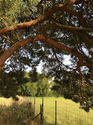 Photo n°25 de Bistrot Georges à Roye (Restaurant français)