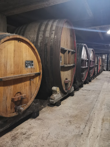 Fruitière Vinicole D'Arbois
