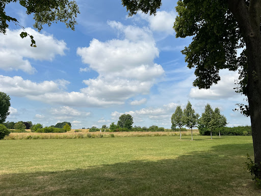 Landschaftspark Rheinbogen - Thumbnail