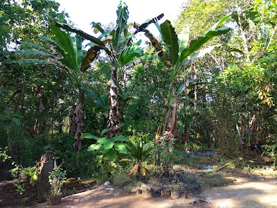 park