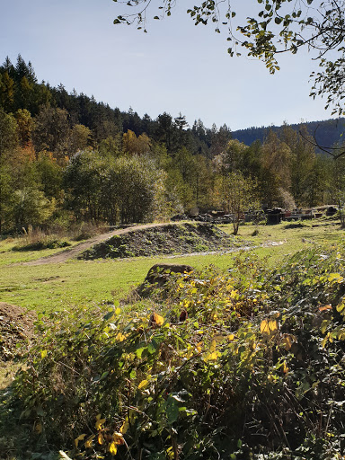 Mountainbike Parcour Alpirsbach - Thumbnail