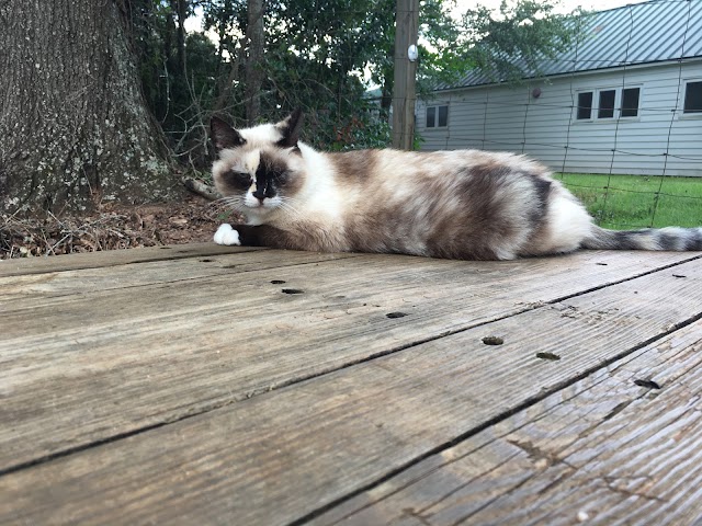 Jimmy Carter National Historic Site