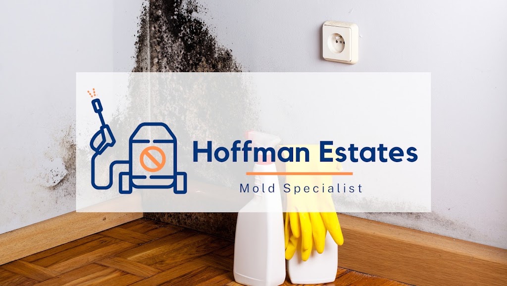 Hoffman Estates Mold Specialist photo