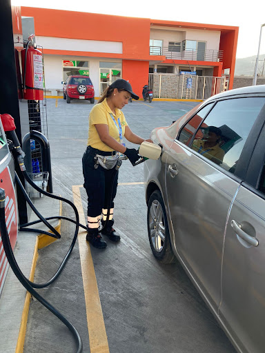 SUPER SERVICIO GASOLINERO DEL SUR