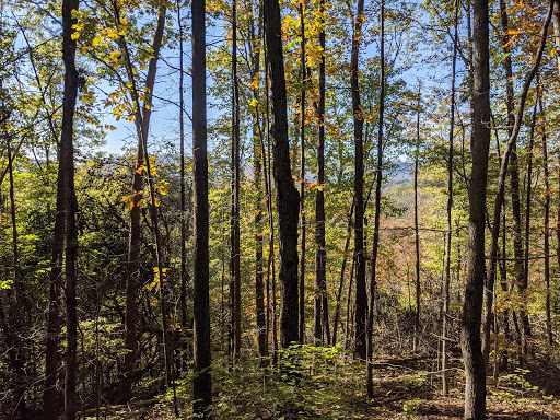 Stringers Ridge Park - Visual