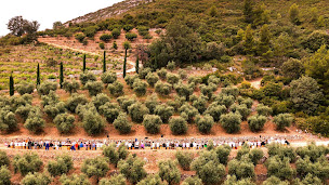 Photo n°1 de Provence Tourisme à Marseille (Association ou organisation)