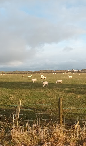 Chirnside - Visual