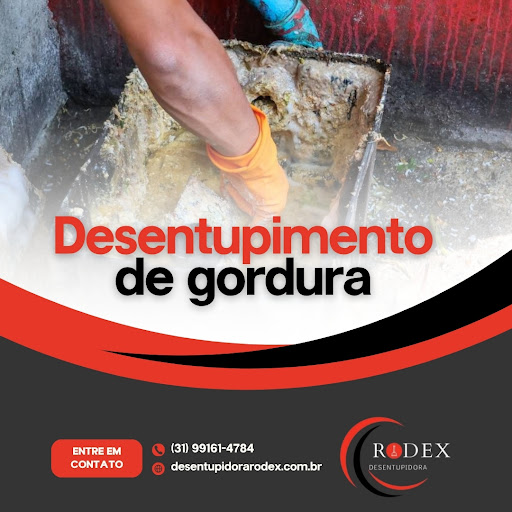 Desentupidora Rodex