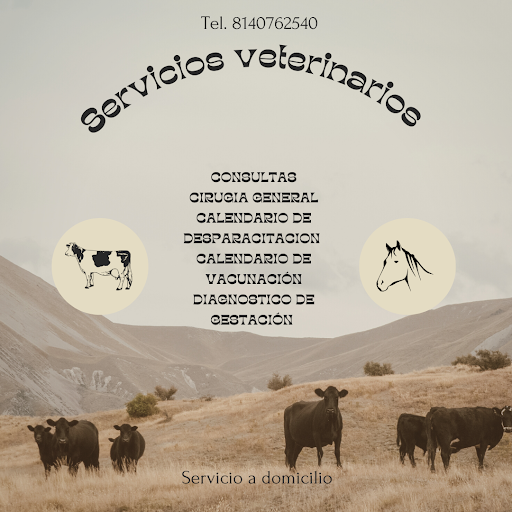 Veterinaria "Frisón"