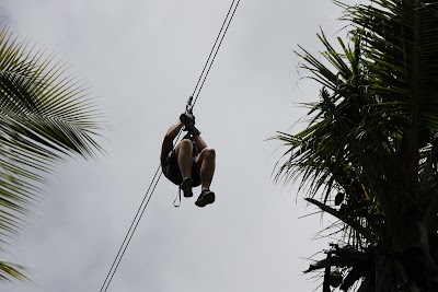 Photos of Treetop Adventure Park - Rainforest Tours in St Lucia