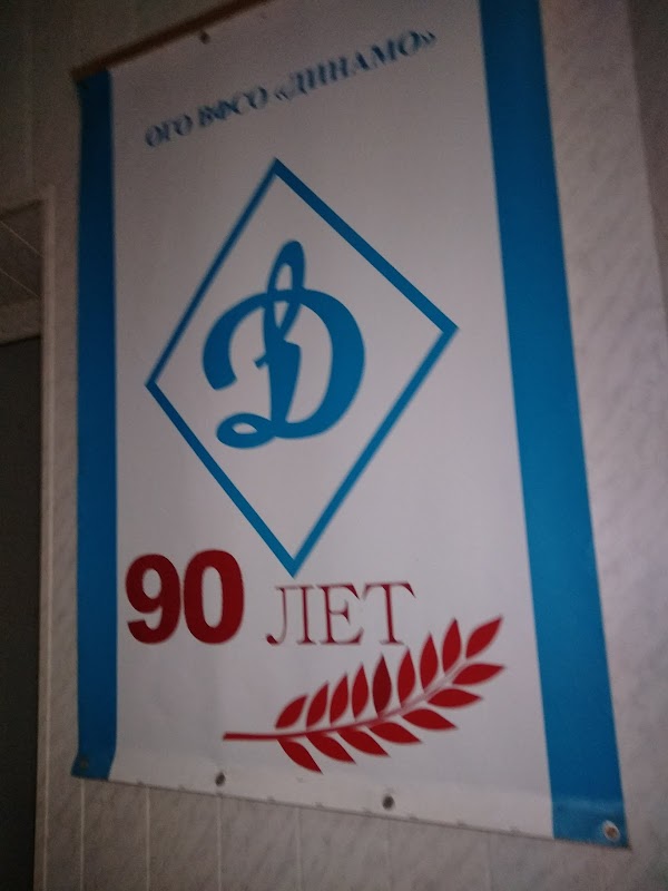 Физкультурно спортивное общество. Всероссийское физкультурно-спортивное общество Динамо. ВФСО Динамо. Всесоюзное физкультурно-спортивное общество «Динамо».. Курганское общество Динамо.