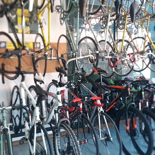 Cicli Oliva - Thumbnail