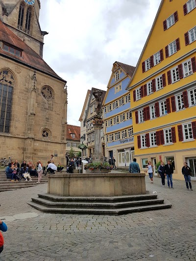 Photos of Collegium