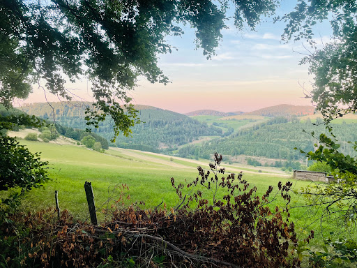 Schwalenburg - Visual