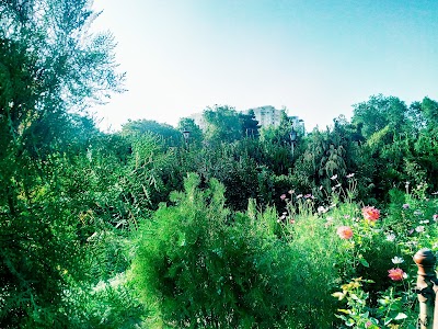 Photos of Zarnegar Park
