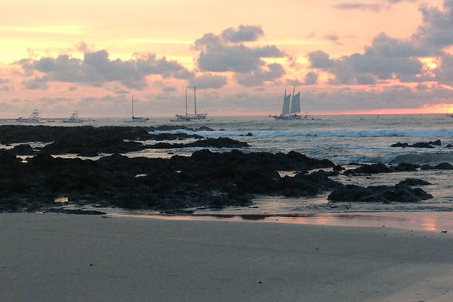 The Beach Bungalows Tamarindo by null