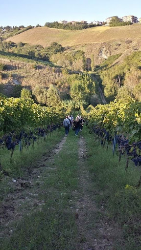 Le Marche Experience - Visual