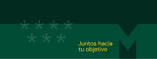 Universidad a Distancia de Madrid (UDIMA)