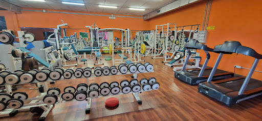Associazione Sportiva Dilettantistica Fitness Club Nuova Florida - Thumbnail